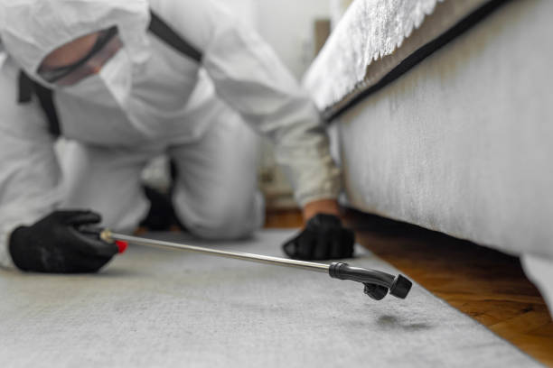 Professional Cockroach Control technician working in Clewiston, FL
